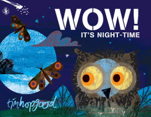 Cover art for Wow! It's Night-time