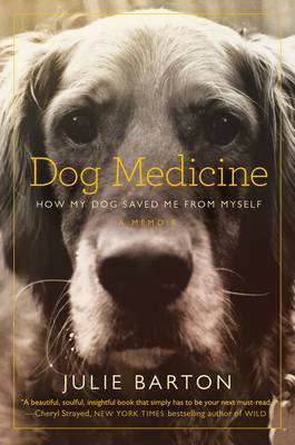 Cover art for Dog Medicine