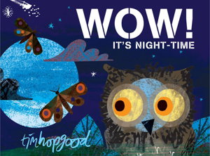 Cover art for WOW! It's Night-time