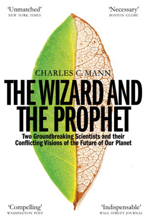 Cover art for Wizard and the Prophet