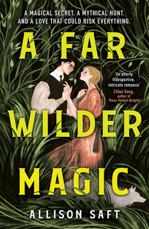 Cover art for A Far Wilder Magic