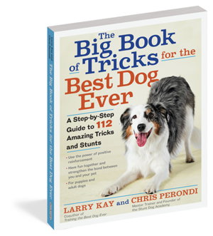 Cover art for Big Book of Tricks for the Best Dog Ever