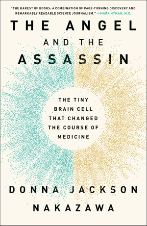Cover art for The Angel and the Assassin