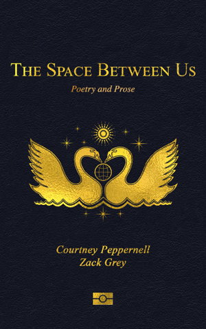 Cover art for The Space Between Us