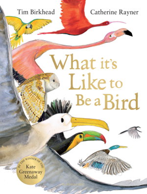 Cover art for What it's Like to be a Bird