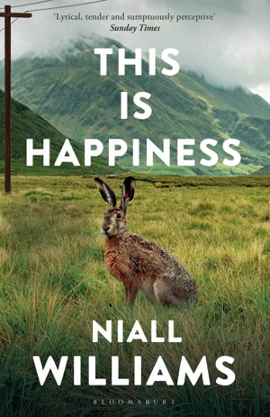 Cover art for This Is Happiness
