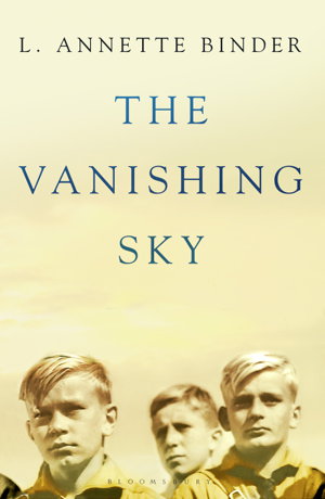 Cover art for The Vanishing Sky