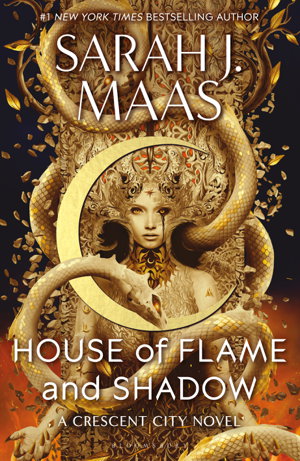 Cover art for House of Flame and Shadow