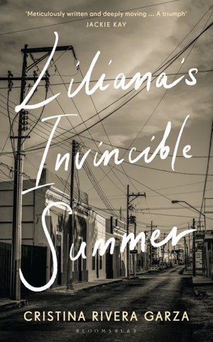 Cover art for Liliana's Invincible Summer