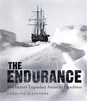 Cover art for The Endurance