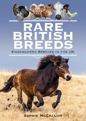 Cover art for Rare British Breeds