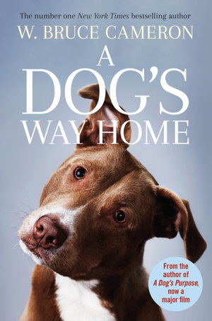 Cover art for Dog's Way Home