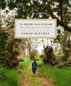 Cover art for The Path Made Clear