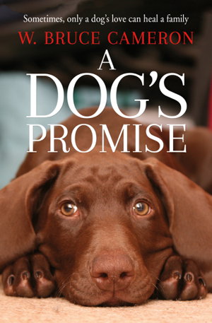 Cover art for A Dog's Promise