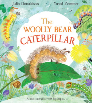 Cover art for Woolly Bear Caterpillar