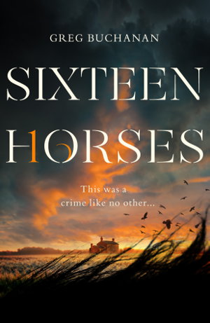Cover art for Sixteen Horses