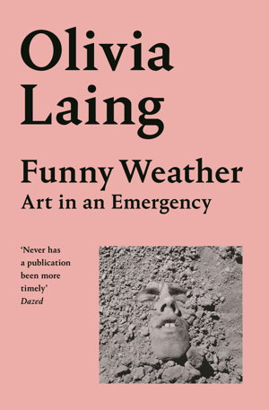 Cover art for Funny Weather