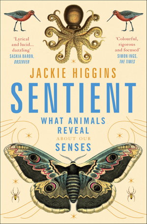 Cover art for Sentient