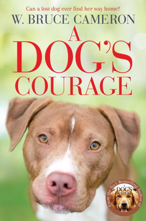 Cover art for A Dog's Courage