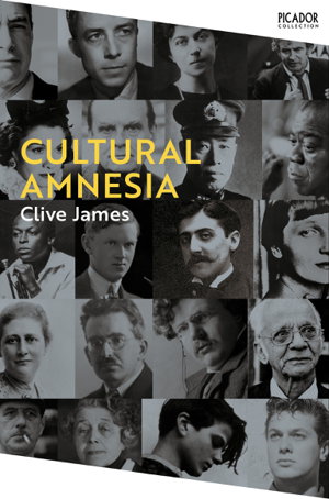 Cover art for Cultural Amnesia