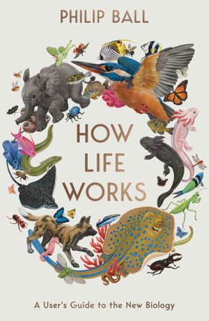 Cover art for How Life Works