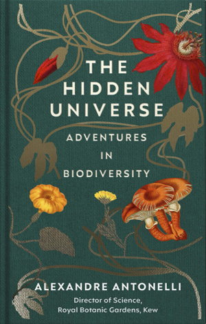 Cover art for Hidden Universe