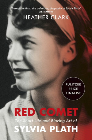 Cover art for Red Comet