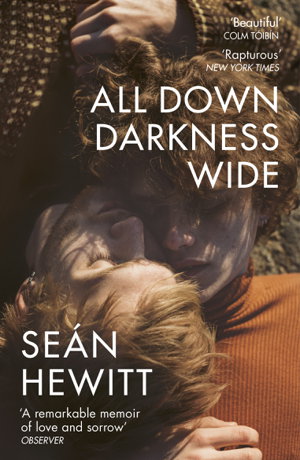 Cover art for All Down Darkness Wide