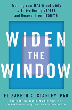 Cover art for Widen the Window