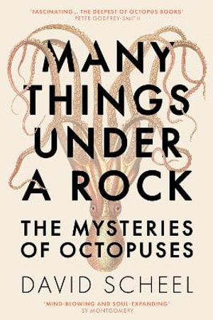 Cover art for Many Things Under a Rock