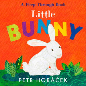 Cover art for Little Bunny