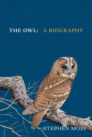 Cover art for The Owl