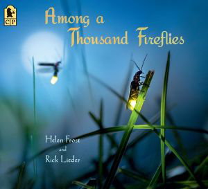 Cover art for Among a Thousand Fireflies