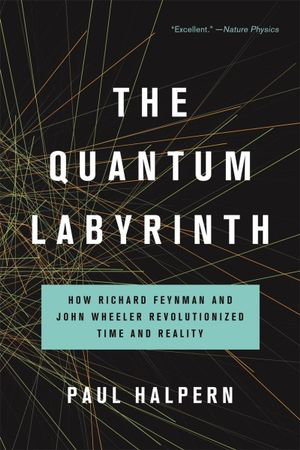 Cover art for The Quantum Labyrinth