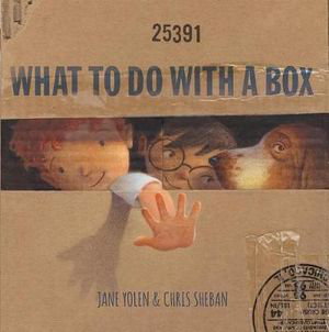 Cover art for What to Do with a Box