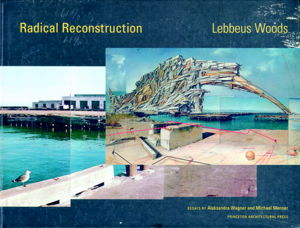 Cover art for Radical Reconstruction