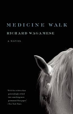 Cover art for Medicine Walk