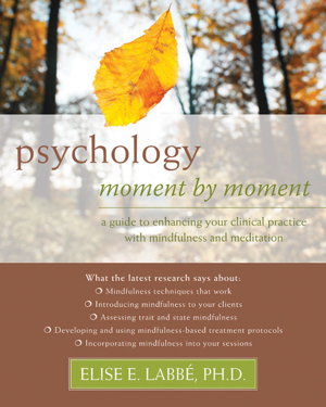 Cover art for Psychology Moment By Moment A Guide to Enhancing Your Clinical Practice with Mindfulness and Meditation