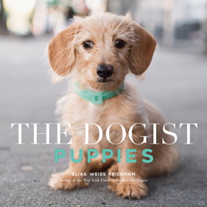 Cover art for The Dogist Puppies