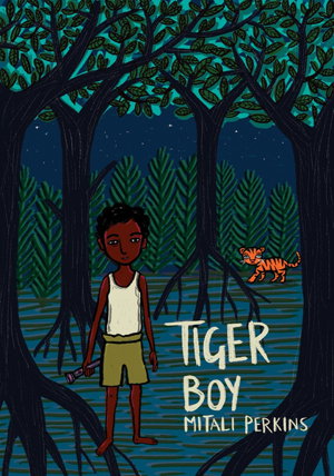 Cover art for Tiger Boy