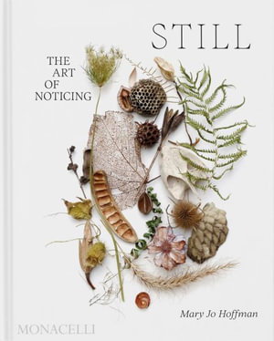 Cover art for Still The Art of Noticing