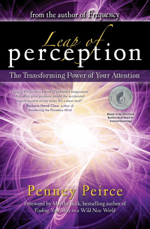 Cover art for Leap of Perception