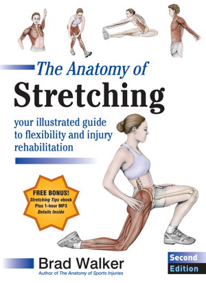 Cover art for Anatomy of Stretching