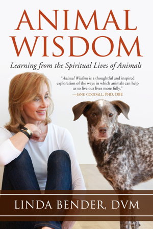 Cover art for Animal Wisdom