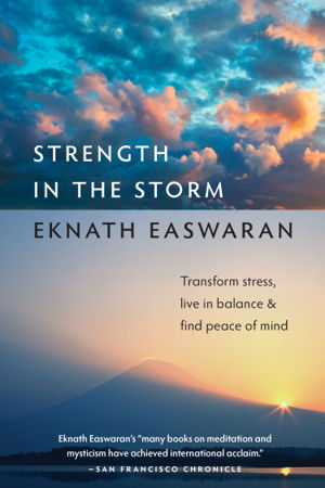 Cover art for Strength in the Storm