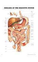 Cover art for Diseases of the Digestive System Anatomical Chart