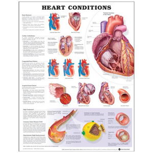 Cover art for Heart Conditions