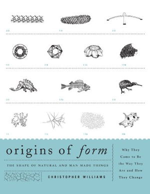 Cover art for Origins of Form