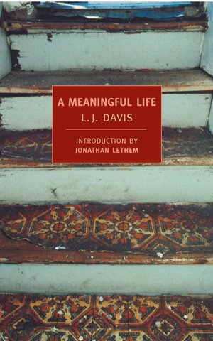 Cover art for A Meaningful Life
