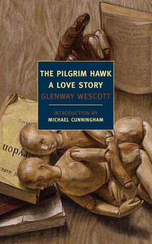 Cover art for The Pilgrim Hawk